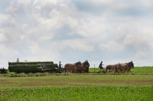 Amish Peoples,  Philadelphia USA        